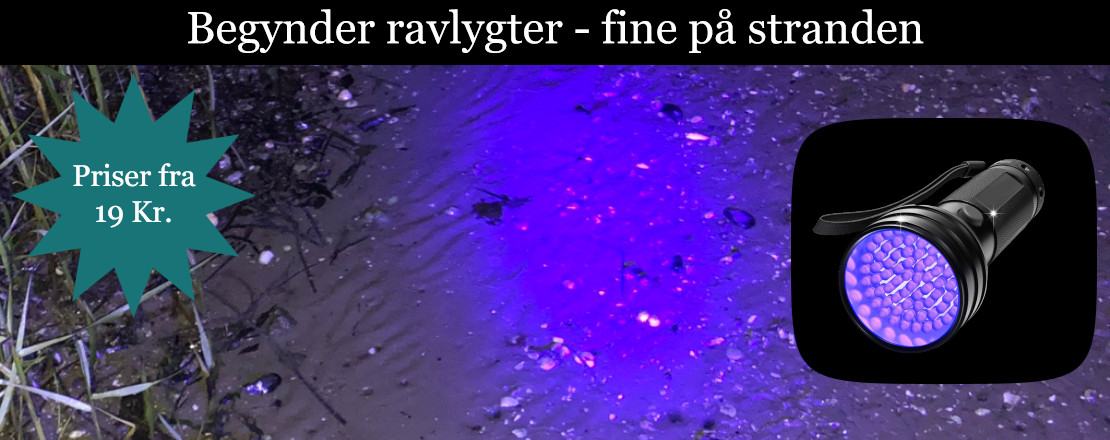 Begynder Ravlygter