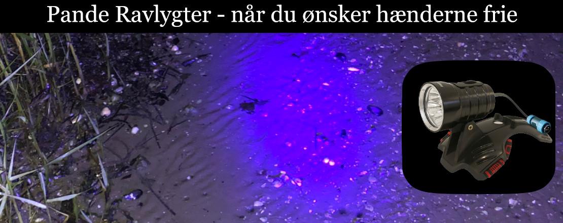 Pande Ravlygter