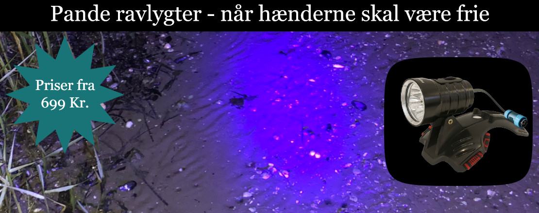 Pande Ravlygter