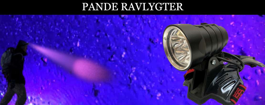 Pande Ravlygter