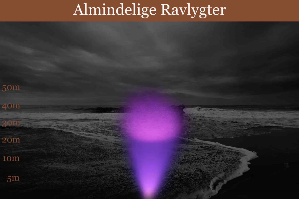 Ravlygter bedst i test