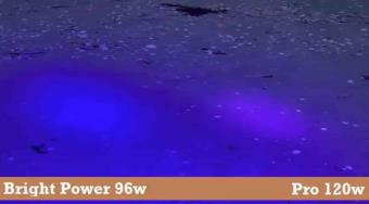 Bright Power Ravlygte