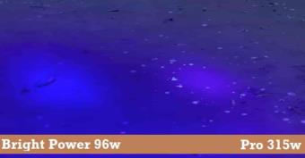 Bright Power Ravlygte