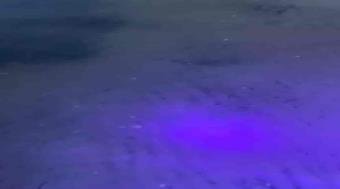 Bright Power Ravlygte