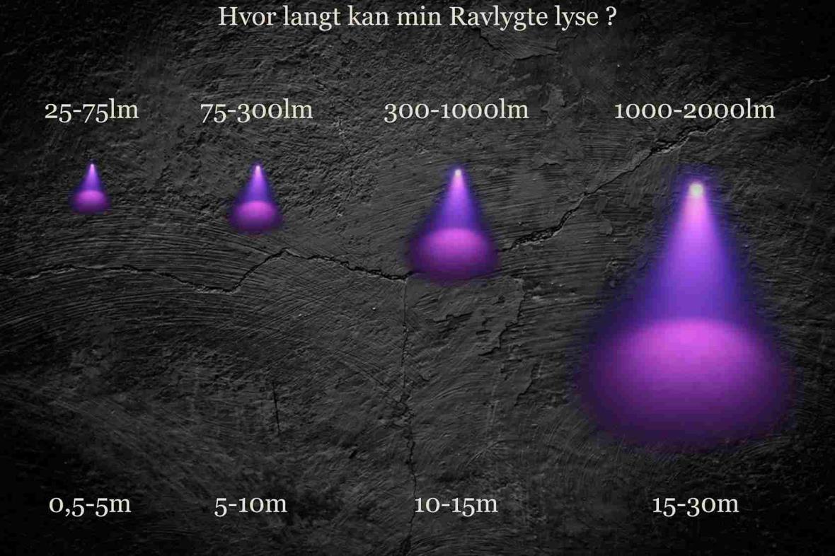 Eksempel på Ravlygters lyslængde