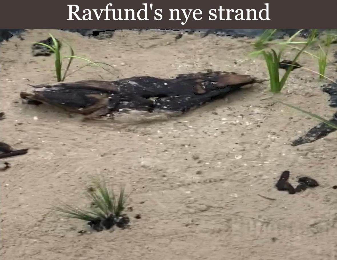 Om Ravfund.dk