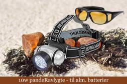 Ravlygte