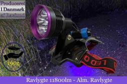 Ravlygte