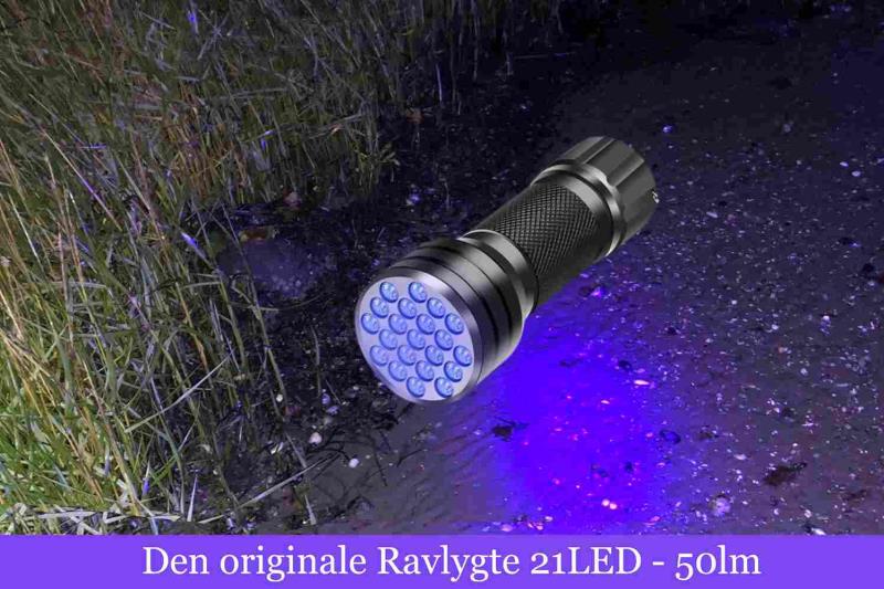Professionelle Ravlygter til Ravjagten