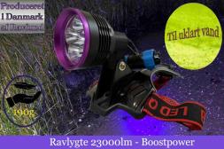 Ravlygte