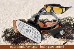 Ravlygte