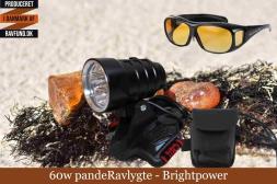 Ravlygte