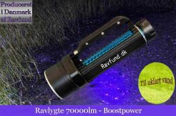 Ravlygte