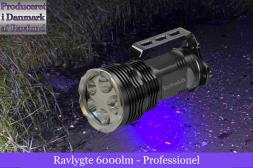 Ravlygte