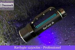 Ravlygte