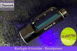 Ravlygte