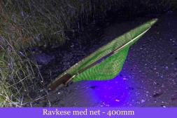 Ravlygte
