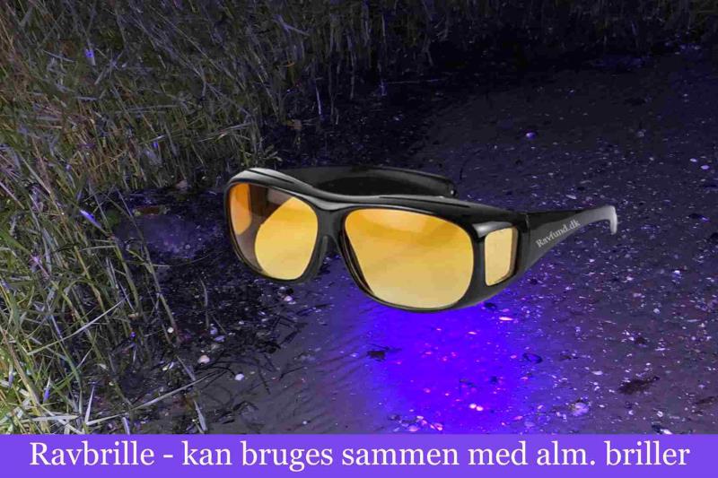 Professionelle Ravlygter til Ravjagten