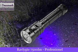 Ravlygte