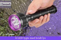 Ravlygte