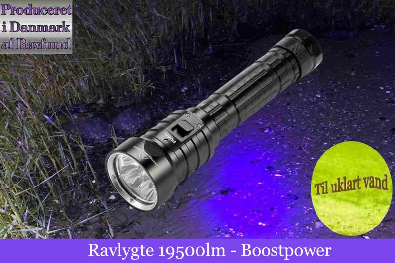 Professionelle Ravlygter til Ravjagten