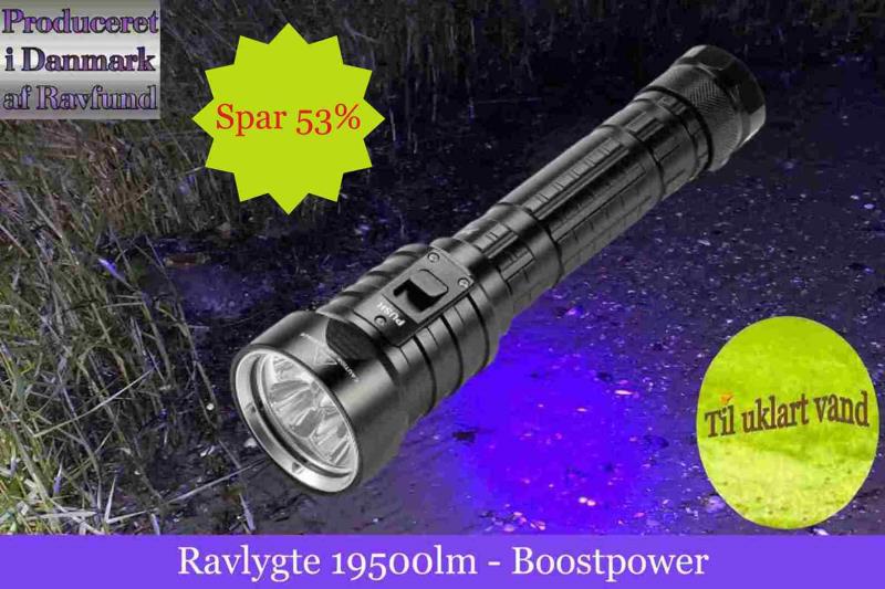 Professionelle Ravlygter til Ravjagten