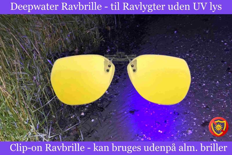 Professionelle Ravlygter til Ravjagten