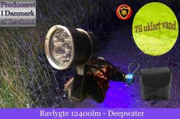 Ravlygte