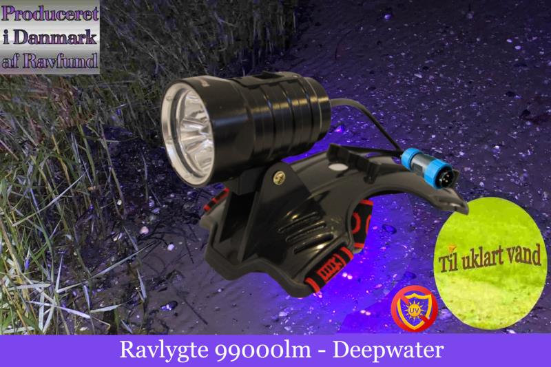 Professionelle Ravlygter til Ravjagten