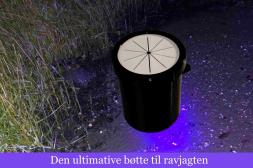 Ravlygte