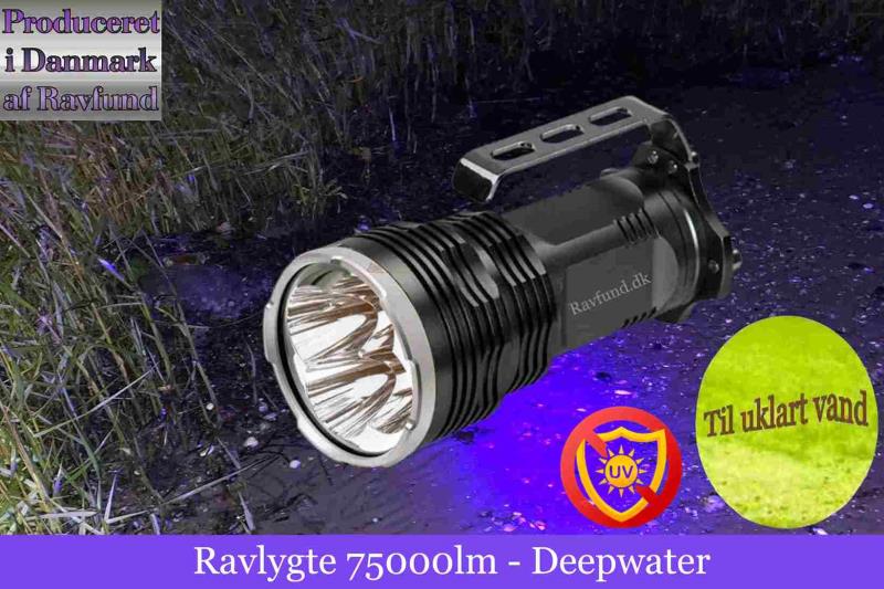 Professionelle Ravlygter til Ravjagten