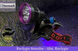 Ravlygte