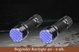 Ravlygte