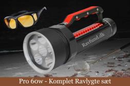 Ravlygte