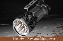 Ravlygte