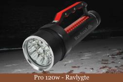 Ravlygte