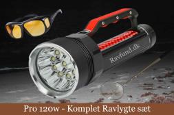 Ravlygte