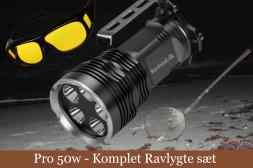 Ravlygte