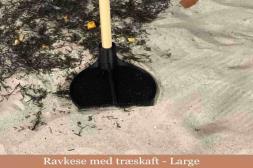 Ravlygte