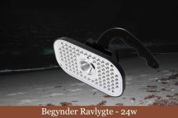 Ravlygte