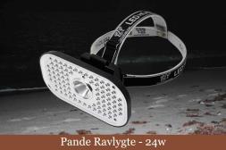 Ravlygte