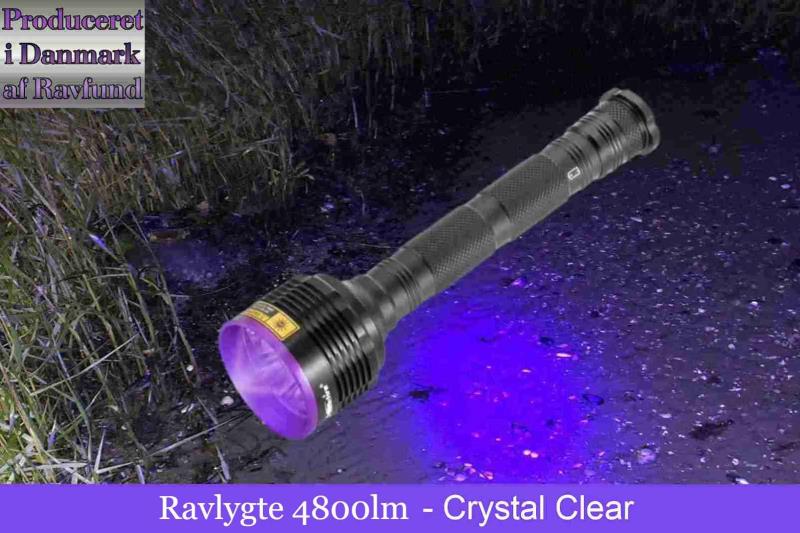 Professionelle Ravlygter til Ravjagten