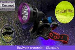 Ravlygte