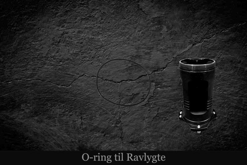 Professionelle Ravlygter til Ravjagten