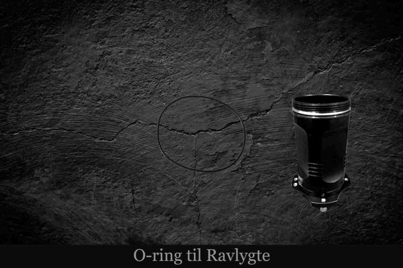 Professionelle Ravlygter til Ravjagten