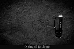 Ravlygte