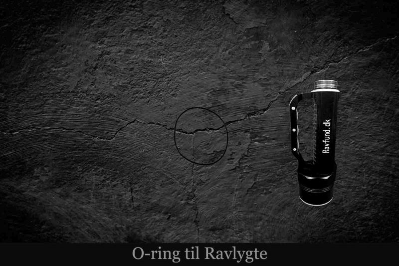 Professionelle Ravlygter til Ravjagten