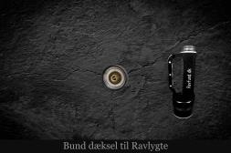 Ravlygte