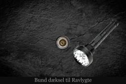 Ravlygte