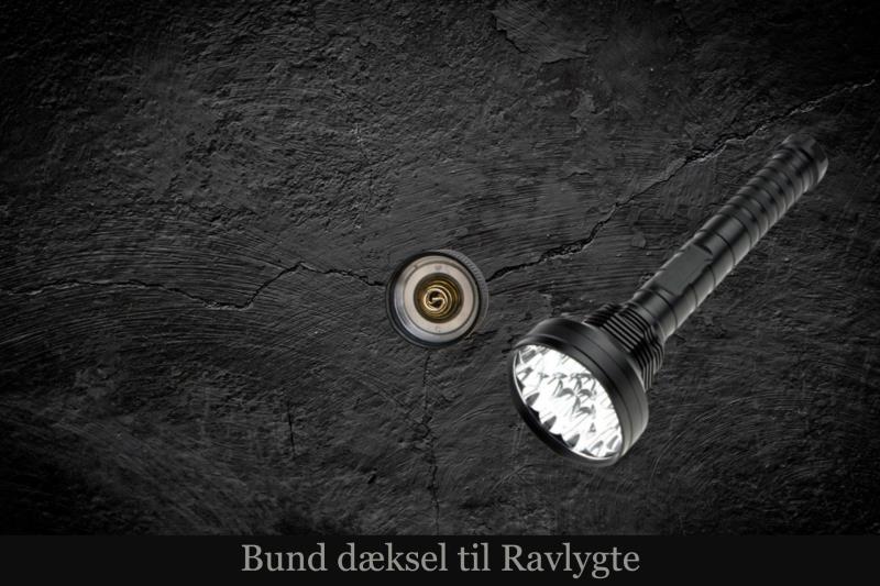 Professionelle Ravlygter til Ravjagten
